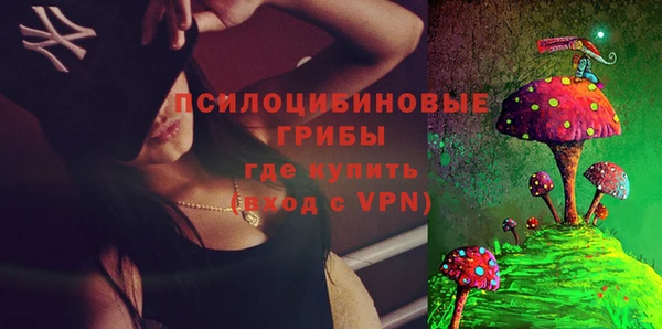ешки Надым